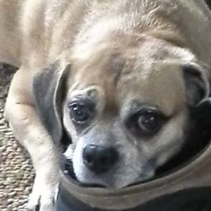 Meet your Posher, Jackie